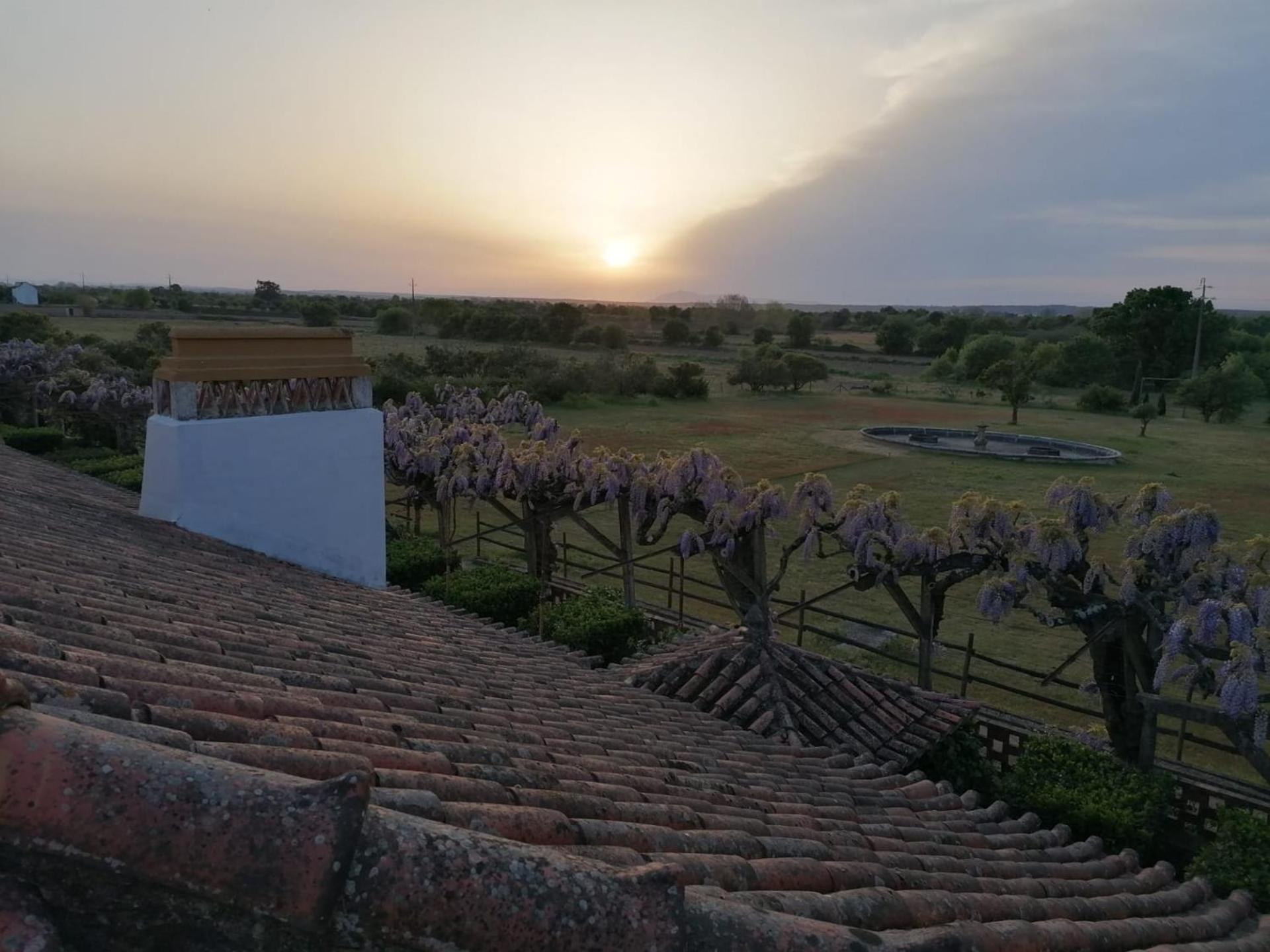 Вилла Quinta Do Casalinho - Benfica Do Ribatejo Экстерьер фото
