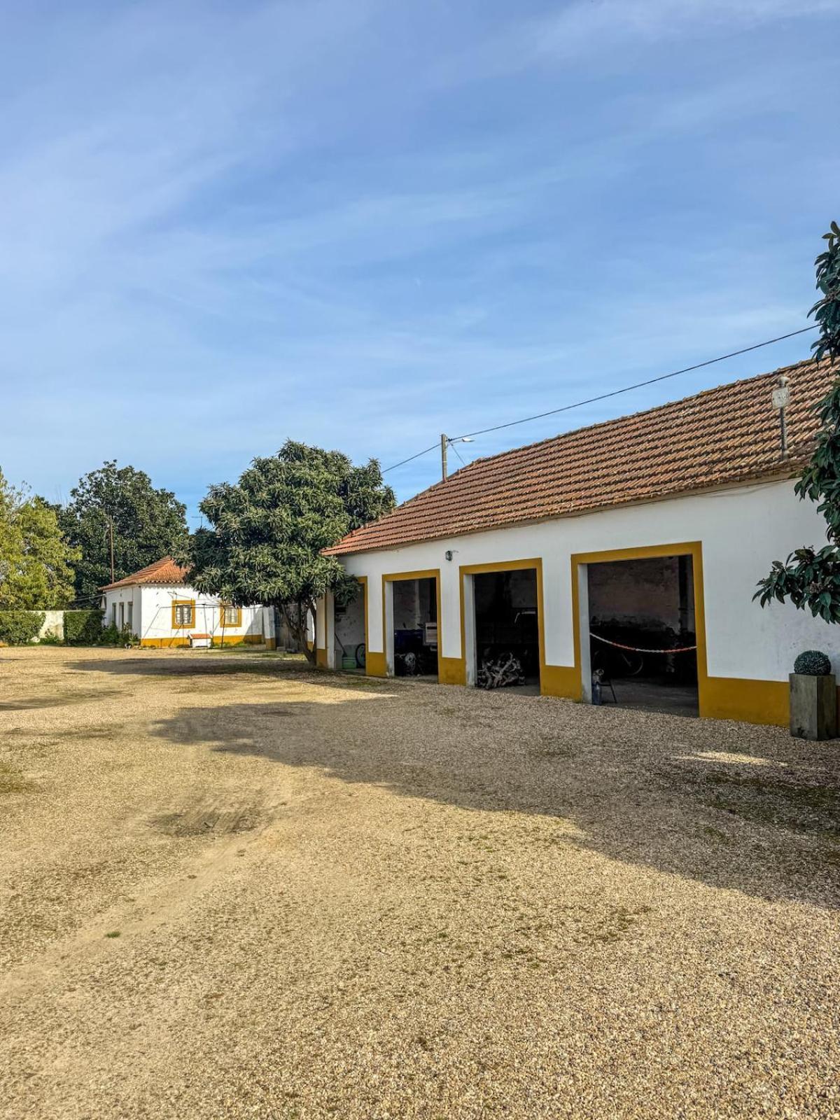 Вилла Quinta Do Casalinho - Benfica Do Ribatejo Экстерьер фото